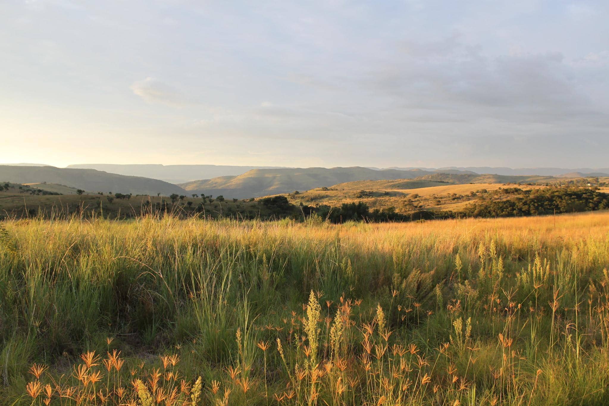 Cradle of Humankind & Maropeng Guided Half-Day Tour photo 1