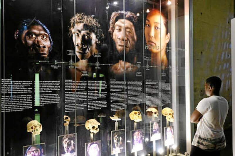Cradle of Humankind & Maropeng Guided Half-Day Tour photo 2