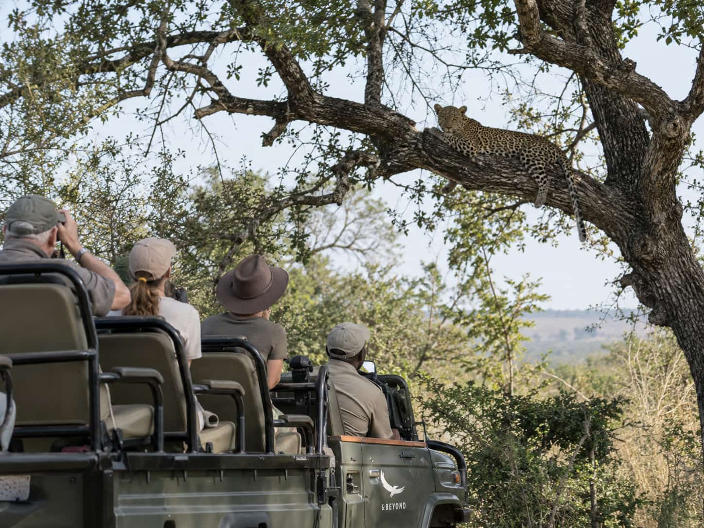 Johannesburg, Sabi Sands & Cape Town photo 1