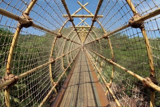 Sun City Resorts: Leisure and Safaris From Johannesburg photo 6