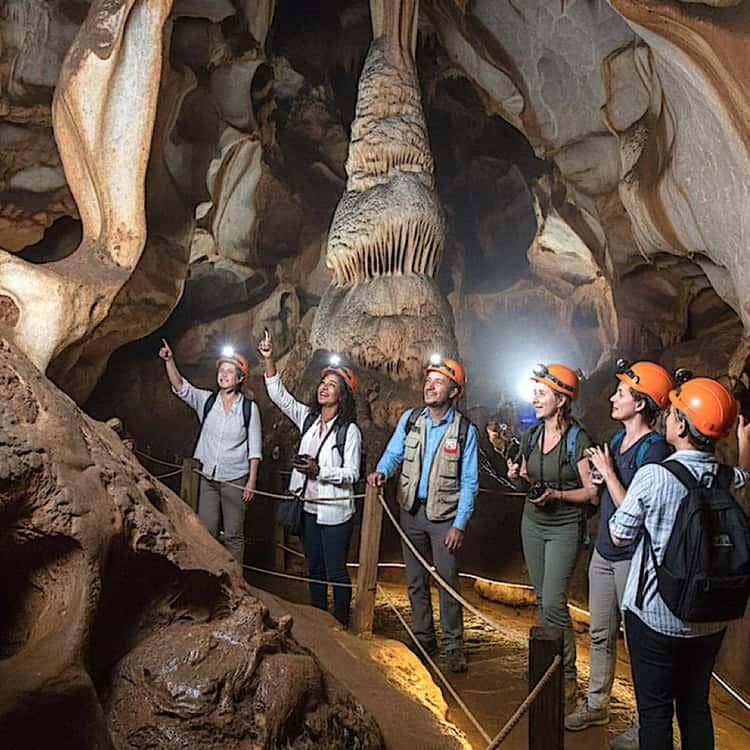 Cradle of Humankind & Maropeng Guided Half-Day Tour photo 3